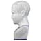 Design Toscano Porcelain Phrenology Head Statue